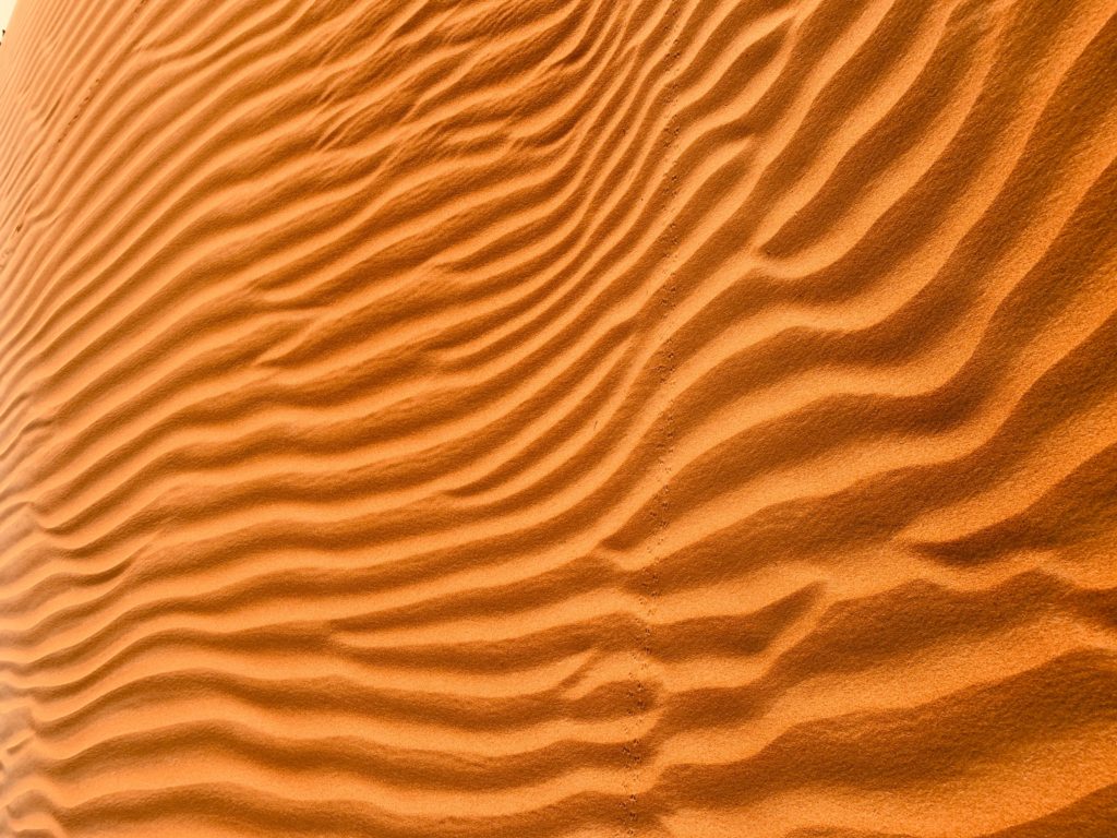 Unsplash/Noah Bikoro