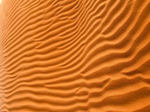 Unsplash/Noah Bikoro