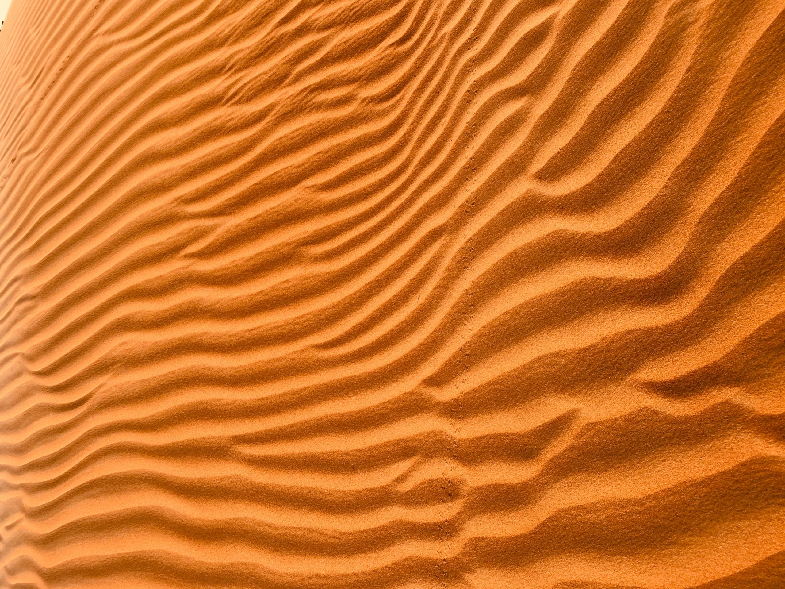 Unsplash/Noah Bikoro
